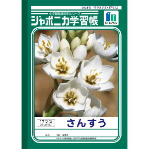 VEm[g JL|2|2 Z17}Xi13×17j JL22