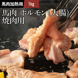 馬 ホルモン 焼肉用 1kg（200g×5P） 肉 馬肉 バーベキュー BBQ 20人前 牧場直送 賞味期限冷凍30日