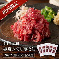 【初回限定】送料無料　ふじ馬刺し赤身の切り落とし《50g×5》 スライス済み 肉 お取り寄せ グルメ 熊本 …