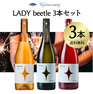 yzLADY beetle 3{Zbg2025 vol.2 tWN[Ci[ C ԃC C IW Y { R bB ~fBA{fB AEghA
