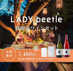 yzy݁zLADY beetle@VуCMtgZbg2025 tWN[Ci[ C Y { R@fB[r[g