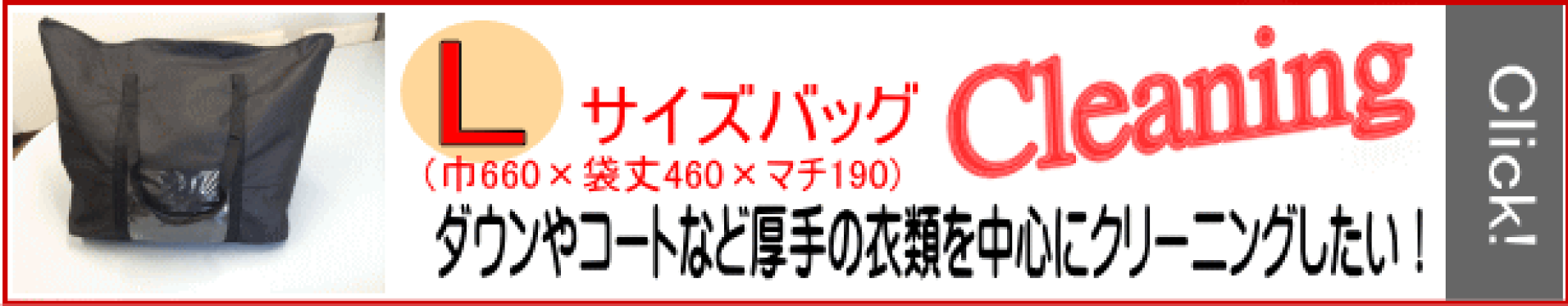 宅配クリーニング　Lサイズバッグ
