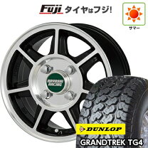 楽天市場】ハヤシレーシング 12インチの通販