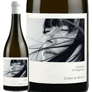 C Cantine 4 Valli JeB[i NAg @b R C Fg 2023@750ml@yKAizE͕ʓr