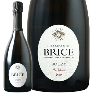 Vp Brice uX u h m[ uW[ pZ  |g[ 2019 750ml@yKAiz E͕ʓr