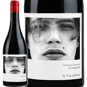 ԃC Cantine 4 Valli JeB[i NAg @b C @h[A 2021 750ml yKAiz E͕ʓr