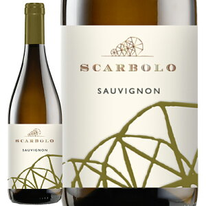 C Scarbolo XJ{ tE[ \[BjI 2023@750ml@yKAizE͕ʓr