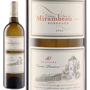 C Despagne fXp[j Vg[ gD[ h ~{[ LF pbV u 2022@750ml@yKAizE͕ʓr