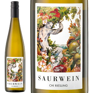 C Saurwein T[@C ` [XO 2022@750ml@yKAizE͕ʓr