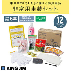 KING JIM �L���O�W���@���p�ԍڃZ�b�g�@SYS-200 ��������(�ꕔ�n�揜��)