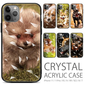 iphone se3 P[X  iPhoneSE2 11 11pro X XS XR 8 7 Ή NX^ LL 炫 ACtHse3P[X ANP[X ACtHP[X ACtHJo[ ACz X}zP[X VR 