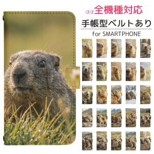 iPhone16Plus �蒠�^ �X�}�z�P�[�X �X�}�z�J�o�[ iphone16plus�P�[�X �A�C�t�H��16�v���X�P�[�X iPhone16�v���X �A�C�t�H��16plus �g�уP�[�X �g�уJ�o�[ iphone16plus�J�o�[ �A�C�t�H��16�v���X�J�o�[ dj035