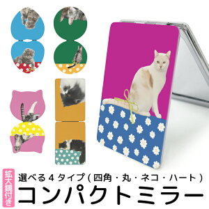 ܂肽݃~[ RpNg  ϒp 苾 g~[ 킢   L ˂ t[  y y RX CNp  G ܂ݎ  CN ~[ g