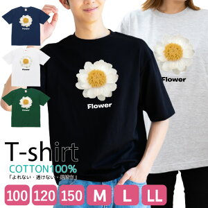 TVc Y fB[X K[x ͂ t[ ԕ  LbY Rbg 100 vg 100TCY 120TCY XXS XS S M L XL 5.6IXAJW jZbNX tVc  ʋC 