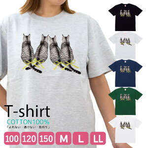 TVc Y fB[X ˂ ɂ ڂ L  LbY Rbg 100 vg 100TCY 120TCY XXS XS S M L XL 5.6IXAJW jZbNX tVc  ʋC z