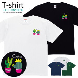 TVc Y fB[X T{e CXg  LbY Rbg 100 vg 100TCY 120TCY XXS XS S M L XL 5.6IXAJW jZbNX tVc  ʋC z 5.6o