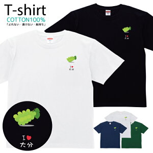 TVc Y fB[X 啪 n ̋ n  LbY Rbg 100 vg 100TCY 120TCY XXS XS S M L XL 5.6IXAJW jZbNX tVc  ʋC 