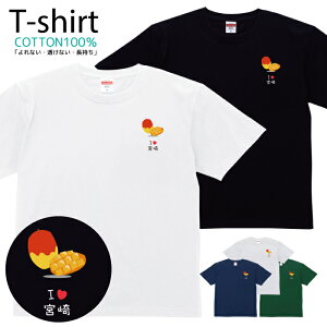 TVc Y fB[X {錧 n ̋ n  LbY Rbg 100 vg 100TCY 120TCY XXS XS S M L XL 5.6IXAJW jZbNX tVc  ʋC 