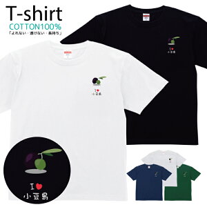 TVc Y fB[X  n ̋ n  LbY Rbg 100 vg 100TCY 120TCY XXS XS S M L XL 5.6IXAJW jZbNX tVc  ʋC 