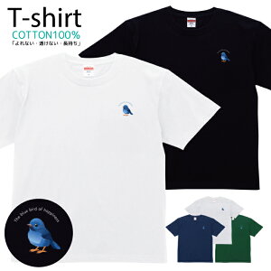 TVc Y fB[X K̐  LbY Rbg 100 vg 100TCY 120TCY XXS XS S M L XL 5.6IXAJW jZbNX tVc  ʋC z 5.6oz zakka