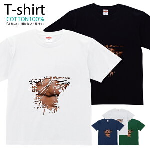 TVc Y fB[X  `   LbY Rbg 100 vg 100TCY 120TCY XXS XS S M L XL 5.6IXjZbNX tVc  ʋC z 5.6oz zakk