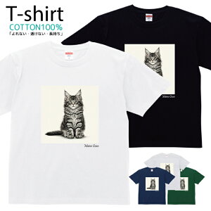 TVc Y fB[X L ˂ ɂ CN[  LbY Rbg 100 vg 100TCY 120TCY XXS XS S M L XL 5.6IXjZbNX tVc  ʋC z 