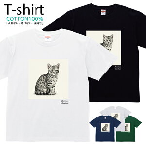 TVc Y fB[X L ˂ ɂ AJV[gwA  LbY Rbg 100 vg 100TCY 120TCY XXS XS S M L XL 5.6IXjZbNX tVc  