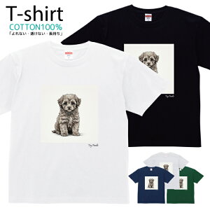 TVc Y fB[X    gCv[h  LbY Rbg 100 vg 100TCY 120TCY XXS XS S M L XL 5.6IXjZbNX tVc  ʋC z 5.6