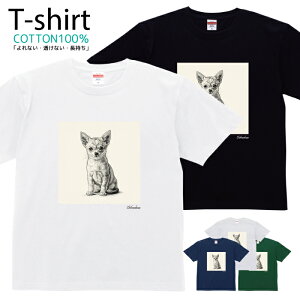 TVc Y fB[X     `  LbY Rbg 100 vg 100TCY 120TCY XXS XS S M L XL 5.6IXjZbNX tVc  ʋC z 5.