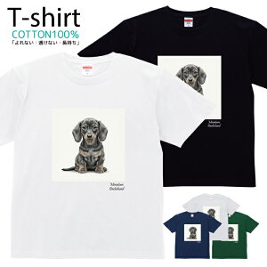 TVc Y fB[X    ~j`A_bNXth  LbY Rbg 100 vg 100TCY 120TCY XXS XS S M L XL 5.6IXjZbNX tVc  