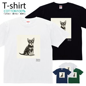 TVc Y fB[X    ~j`AViEU[  LbY Rbg 100 vg 100TCY 120TCY XXS XS S M L XL 5.6IXjZbNX tVc  ʋC