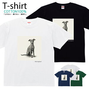 TVc Y fB[X  C^AO[nEh  LbY Rbg 100 vg 100TCY 120TCY XXS XS S M L XL 5.6IXjZbNX tVc  ʋC z 5.