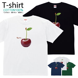 TVc Y fB[X t[c ʕ `F[   LbY Rbg 100 vg 100TCY 120TCY XXS XS S M L XL 5.6IXjZbNX tVc  ʋC z