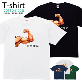 Tシャツ メンズ レディース 筋肉 筋 すじ 上腕二頭筋 人体 力こぶ おしゃれ キッズ コットン 綿100％ プリント 100サイズ 120サイズ XXS XS S M L XL 5.6オンスユニセックス tシャツ ゆったり 通気性 吸水性 5.6oz zakka043-0971
