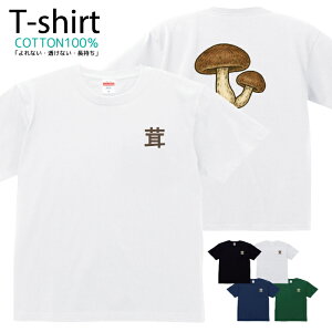 TVc Y fB[X ̂ LmR  CXg   LbY Rbg 100 vg 100TCY 120TCY XXS XS S M L XL 5.6IXjZbNX tVc  ʋC z