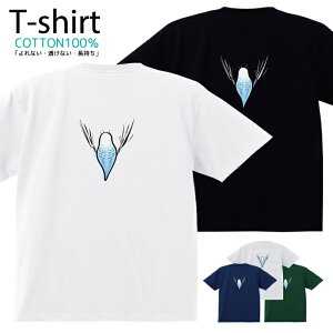 TVc Y fB[X CR     Aj} LN^[  LbY Rbg 100 vg 100TCY 120TCY XXS XS S M L XL 5.6IXjZbNX tVc 