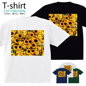 TVc Y fB[X  t[ Jt ԑ  LbY Rbg 100 vg 100TCY 120TCY XXS XS S M L XL 5.6IXjZbNX tVc  ʋC z 5.6oz 