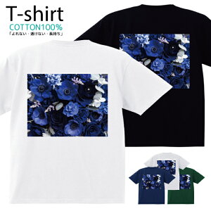 TVc Y fB[X  t[ Jt ԑ  LbY Rbg 100 vg 100TCY 120TCY XXS XS S M L XL 5.6IXjZbNX tVc  ʋC z 5.6oz 