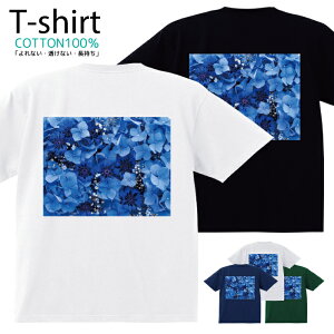 TVc Y fB[X  t[ Jt ԑ  LbY Rbg 100 vg 100TCY 120TCY XXS XS S M L XL 5.6IXjZbNX tVc  ʋC z 5.6oz 