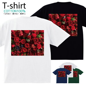 TVc Y fB[X  t[ Jt ԑ  LbY Rbg 100 vg 100TCY 120TCY XXS XS S M L XL 5.6IXjZbNX tVc  ʋC z 5.6oz 