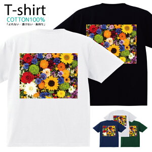 TVc Y fB[X  t[ Jt ԑ  LbY Rbg 100 vg 100TCY 120TCY XXS XS S M L XL 5.6IXjZbNX tVc  ʋC z 5.6oz 