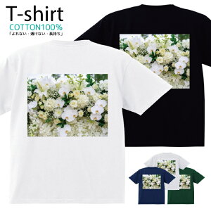 TVc Y fB[X  t[ Jt ԑ  LbY Rbg 100 vg 100TCY 120TCY XXS XS S M L XL 5.6IXjZbNX tVc  ʋC z 5.6oz 