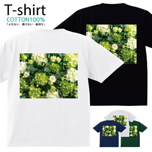 TVc Y fB[X  t[ Jt ԑ  LbY Rbg 100 vg 100TCY 120TCY XXS XS S M L XL 5.6IXjZbNX tVc  ʋC z 5.6oz 