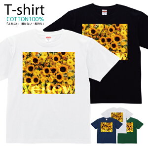 TVc Y fB[X  t[ Jt ԑ  LbY Rbg 100 vg 100TCY 120TCY XXS XS S M L XL 5.6IXjZbNX tVc  ʋC z 5.6oz 