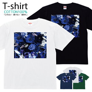 TVc Y fB[X  t[ Jt ԑ  LbY Rbg 100 vg 100TCY 120TCY XXS XS S M L XL 5.6IXjZbNX tVc  ʋC z 5.6oz 