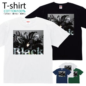 TVc Y fB[X  t[ Jt ԑ  LbY Rbg 100 vg 100TCY 120TCY XXS XS S M L XL 5.6IXjZbNX tVc  ʋC z 5.6oz 