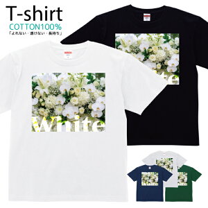 TVc Y fB[X  t[ Jt ԑ  LbY Rbg 100 vg 100TCY 120TCY XXS XS S M L XL 5.6IXjZbNX tVc  ʋC z 5.6oz 