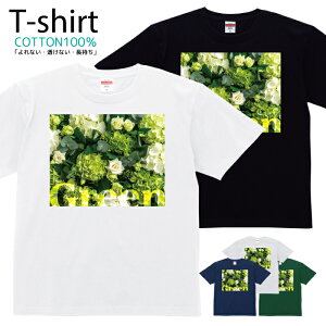 TVc Y fB[X  t[ Jt ԑ  LbY Rbg 100 vg 100TCY 120TCY XXS XS S M L XL 5.6IXjZbNX tVc  ʋC z 5.6oz 