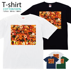 TVc Y fB[X  t[ Jt ԑ  LbY Rbg 100 vg 100TCY 120TCY XXS XS S M L XL 5.6IXjZbNX tVc  ʋC z 5.6oz 