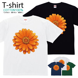 TVc Y fB[X  t[ ԕ ԑ  Aj} LN^[  LbY Rbg 100 vg 100TCY 120TCY XXS XS S M L XL 5.6IXjZbNX tVc 